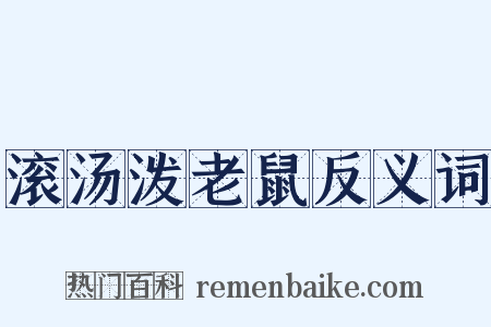 滚汤泼老鼠反义词是什么意思的图片
